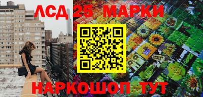 эйфоретик Обь